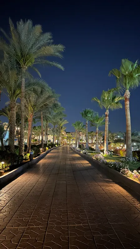 Park Regency Sharm El Sheikh Resort фото 79