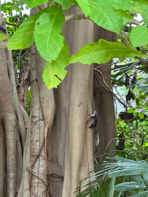 Botany Beach Resort фото 42