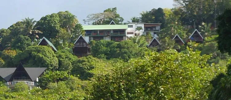 Фото отеля Mango Lodge