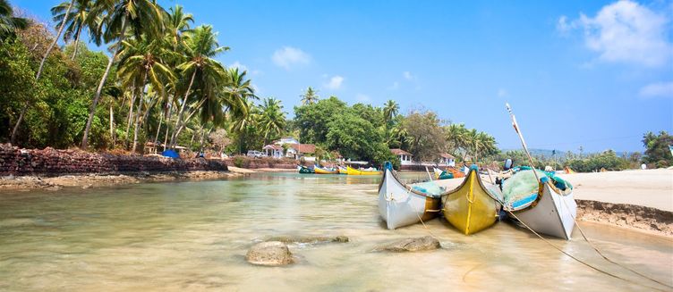 Фото отеля Anjuna Beach Resort