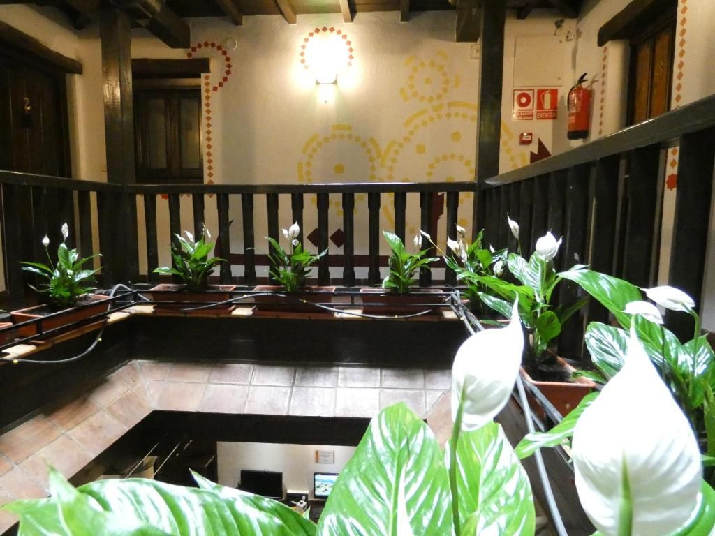 Oasis Backpackers Hostel Granada фото 6