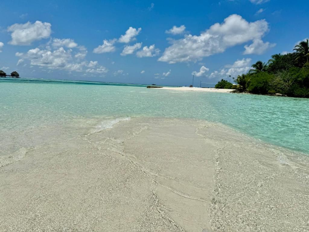 Pearl Sands of Maldives фото 28