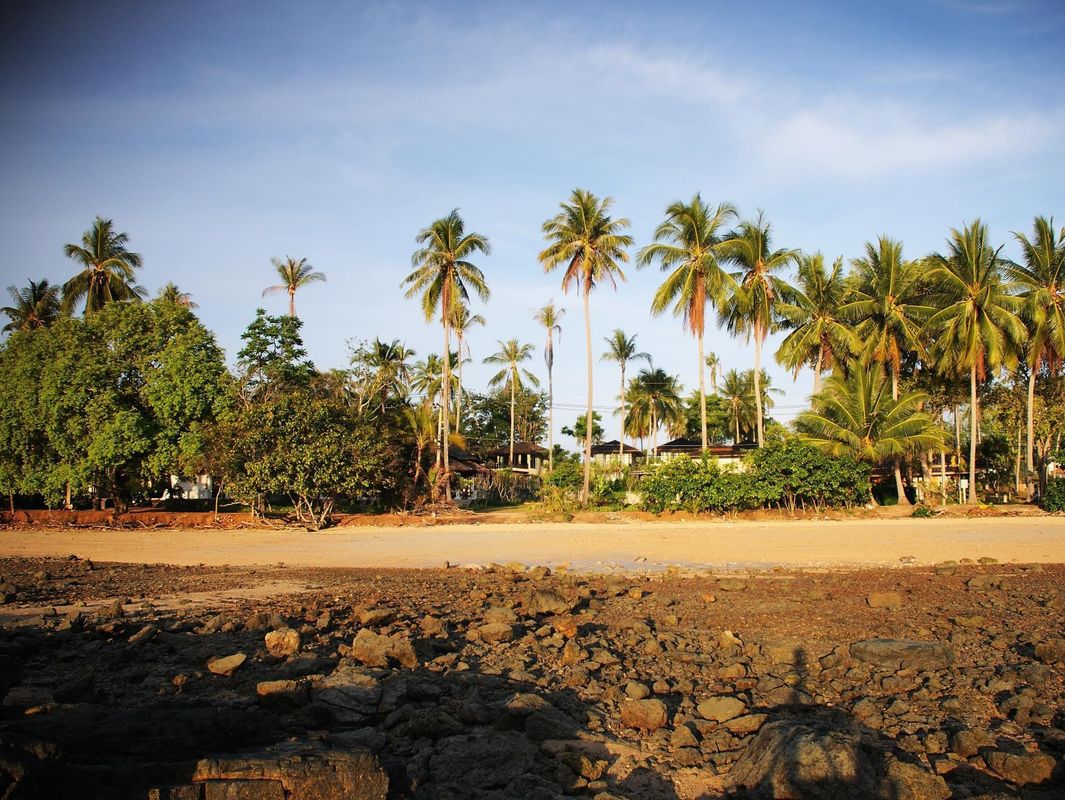 Niramaya Villa & Wellness Resort фото 25