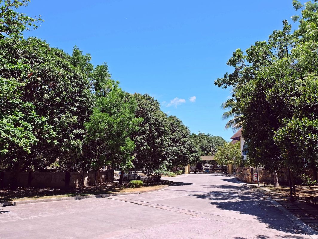 Cordova Reef Village Resort фото 31