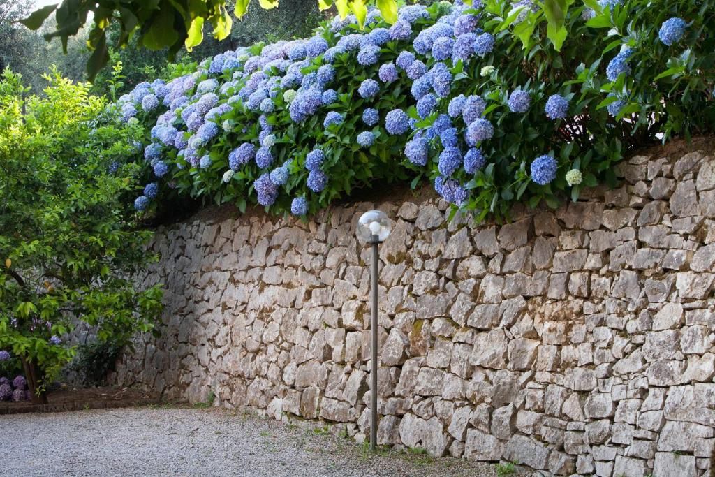 Villa Oriana Relais фото 57