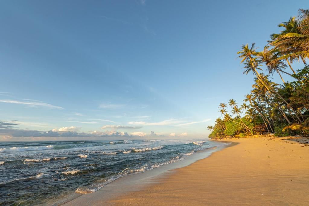 The Beach Talpe фото 5