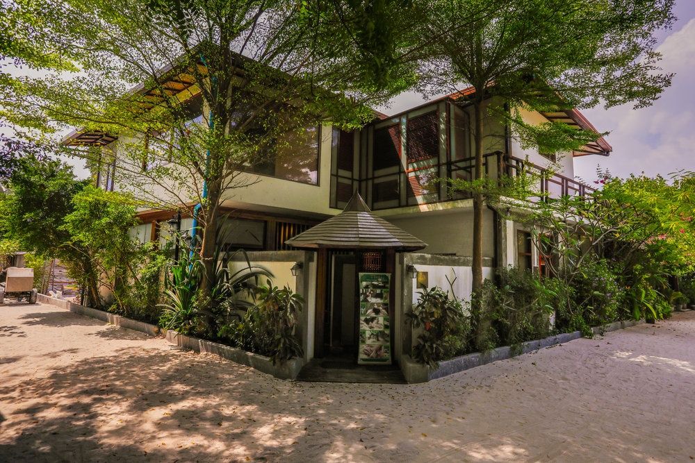 Guest House ««Plumeria Maldives» Guest House» фото 70