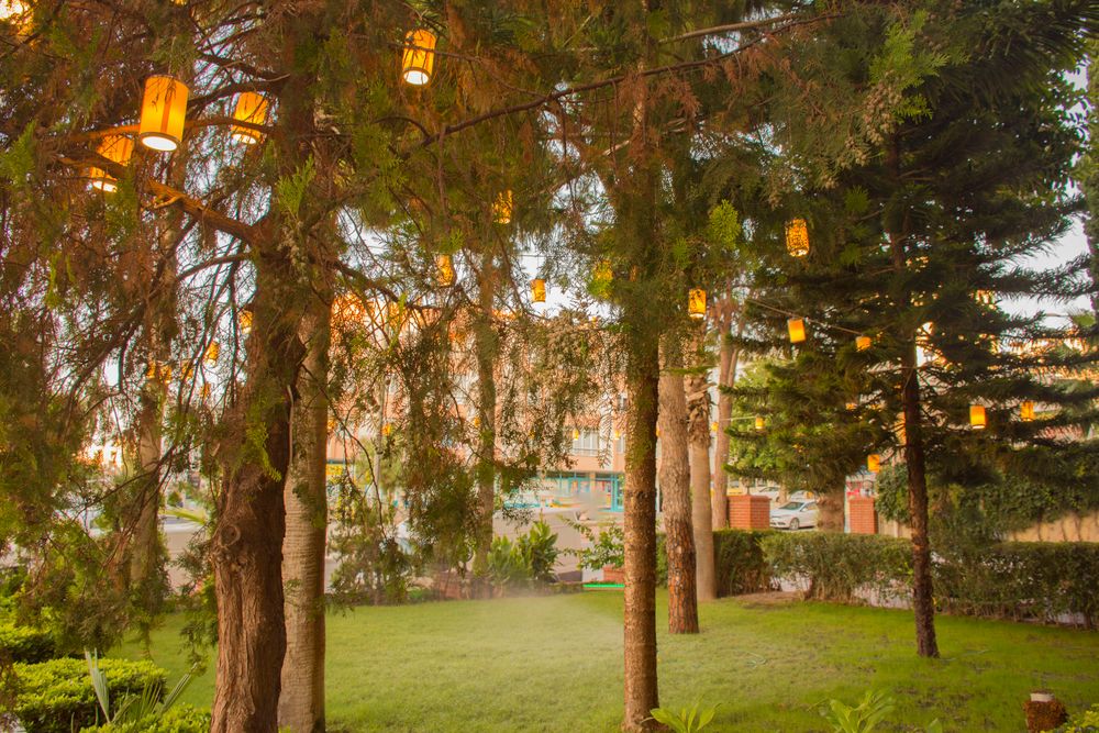 Lara Dinc Hotel фото 33