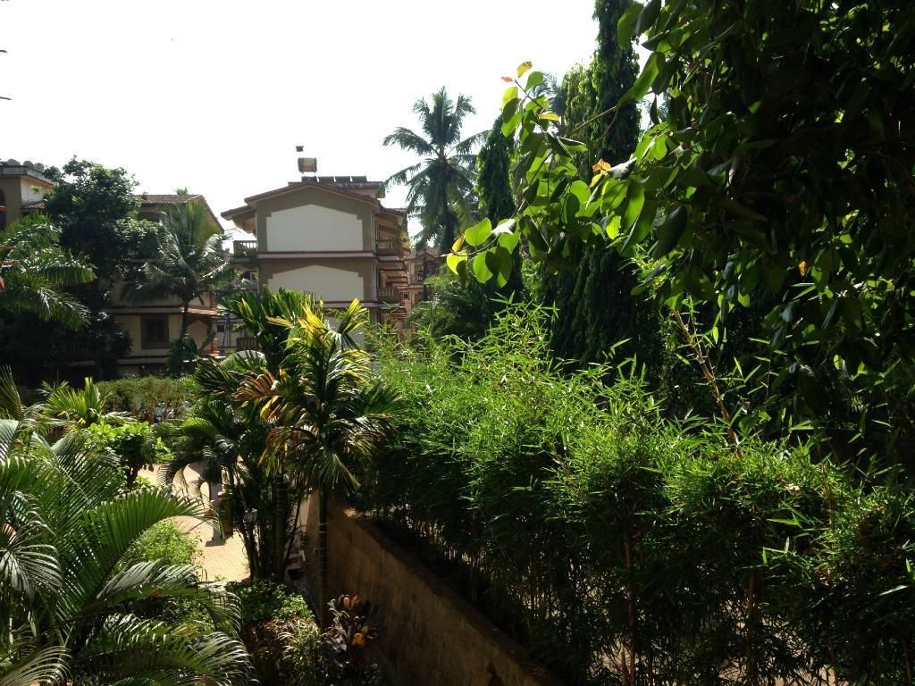 Highland Beach Resort фото 6