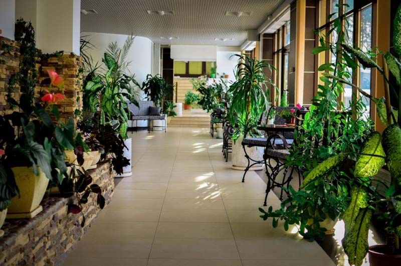 Санаторий «Orchestra Oka Spa Resort» фото 47