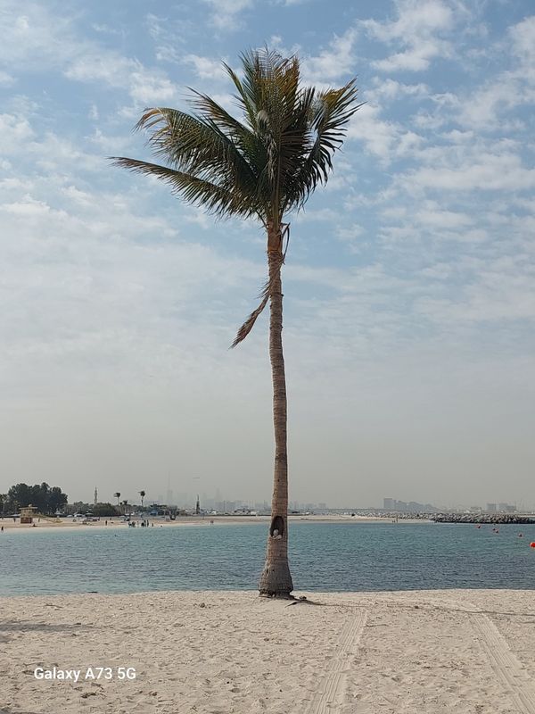 Al Bustan Centre & Residence фото 36