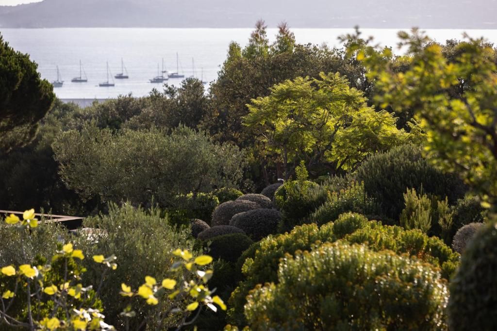 La Villa Calvi фото 24