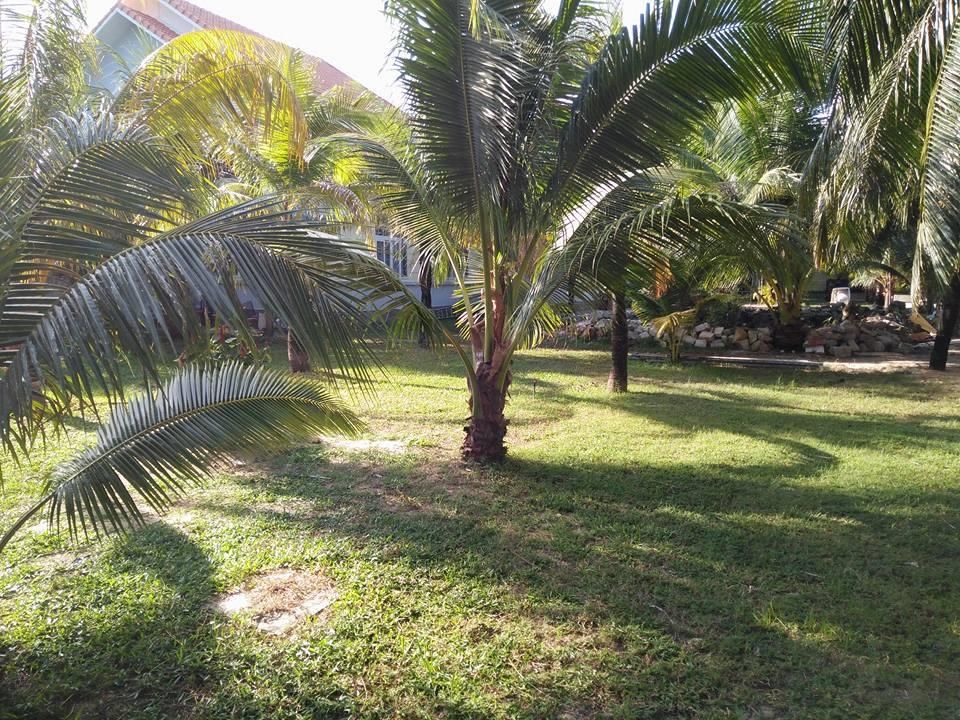 Cuu Long Phu Quoc Resort фото 10
