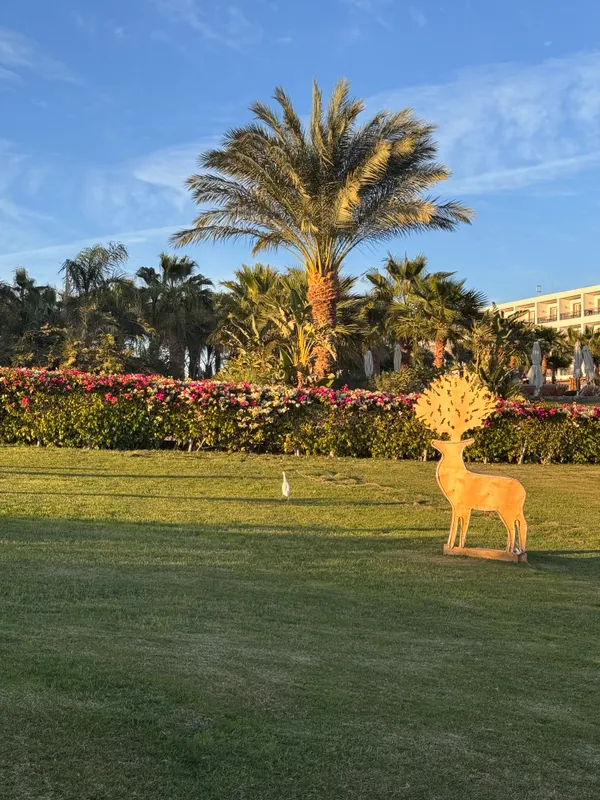 Fort Arabesque Resort, Spa & Villas фото 44