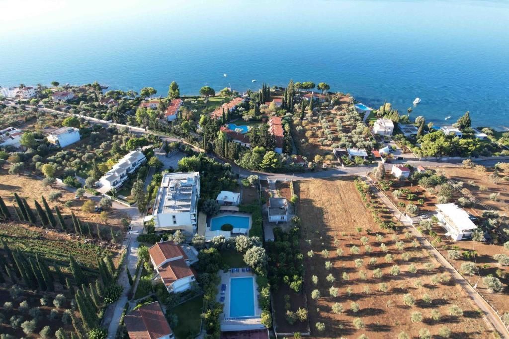 Miramare фото 2