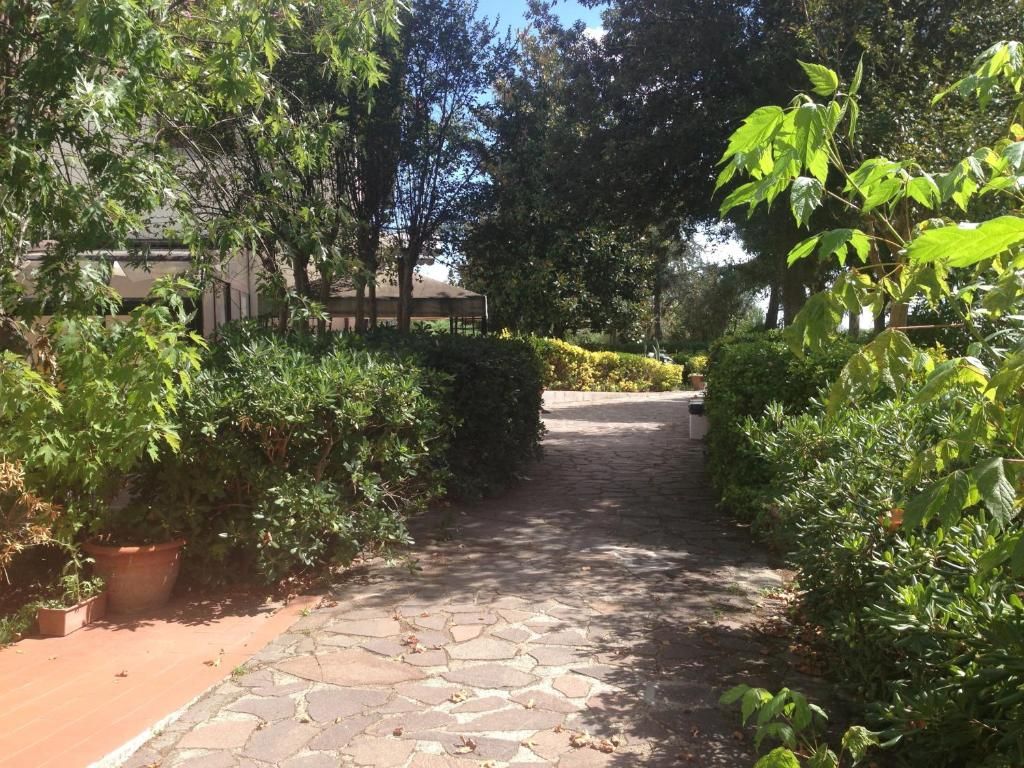 Airone Pisa Park Hotel фото 13