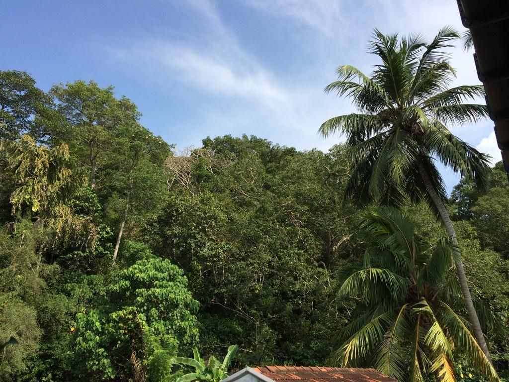 Гостевой дом «Guesthouse Kaetana Lanka» фото 2