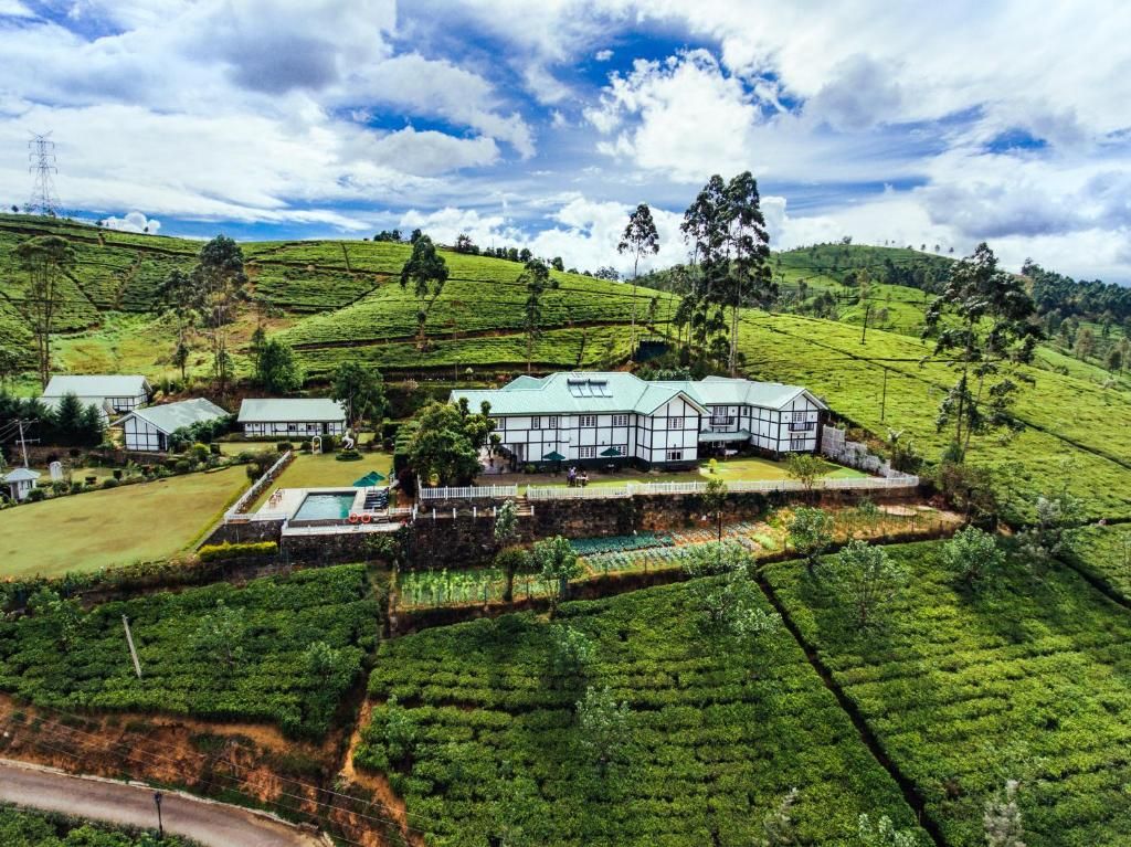 Amaya Langdale Nuwara Eliya фото 32