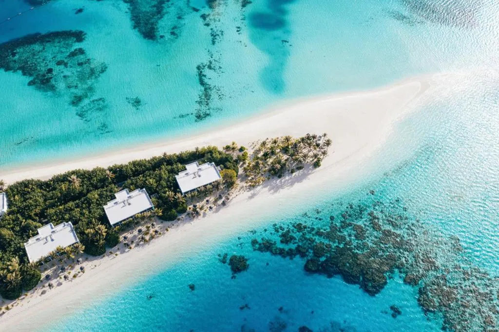 Riu Atoll фото 29