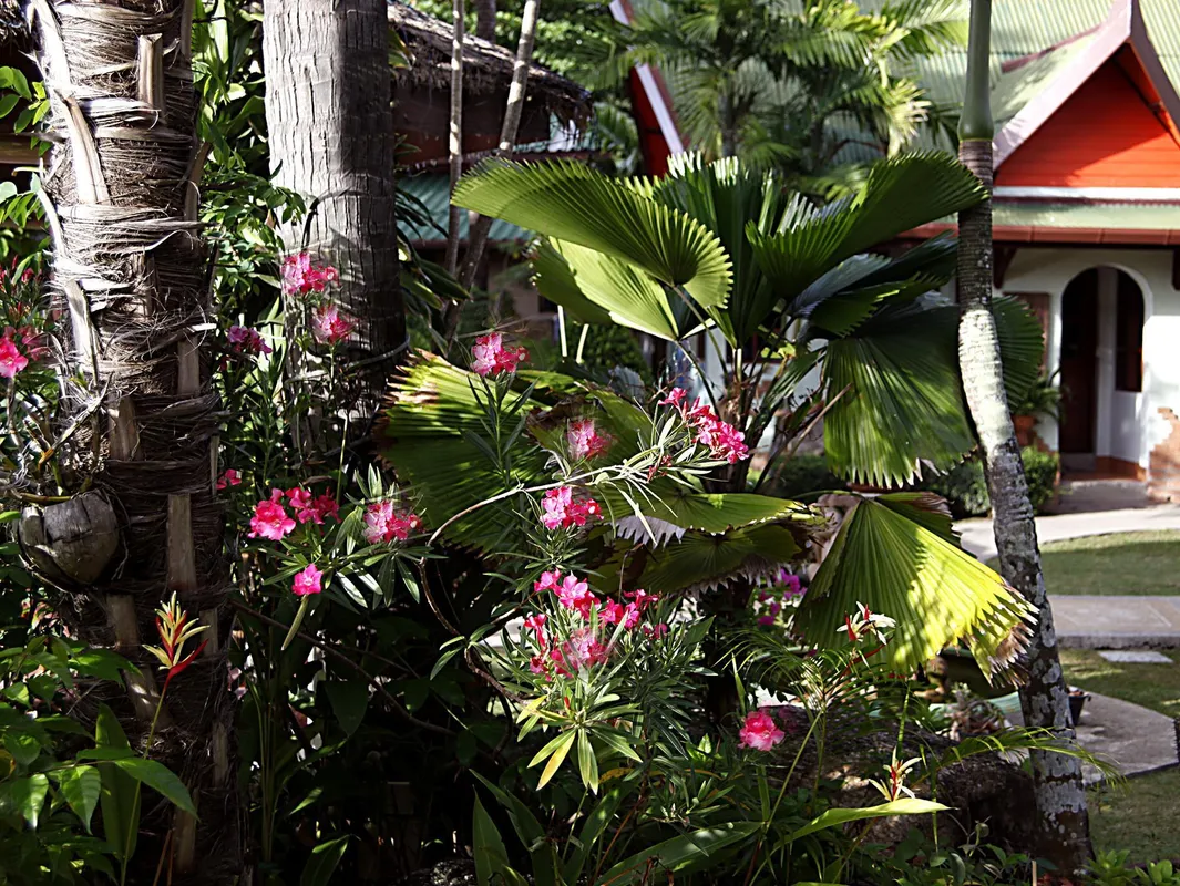 Friendship Beach Resort фото 6