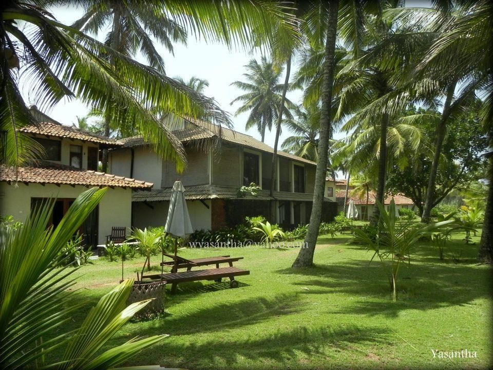 Kosgoda Beach фото 1