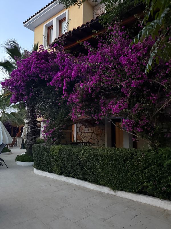 Perdikia Hill Family Resort & Villas фото 47