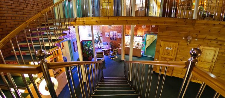 Фото отеля HELIOPARK Eco & Spa Medical Karelia