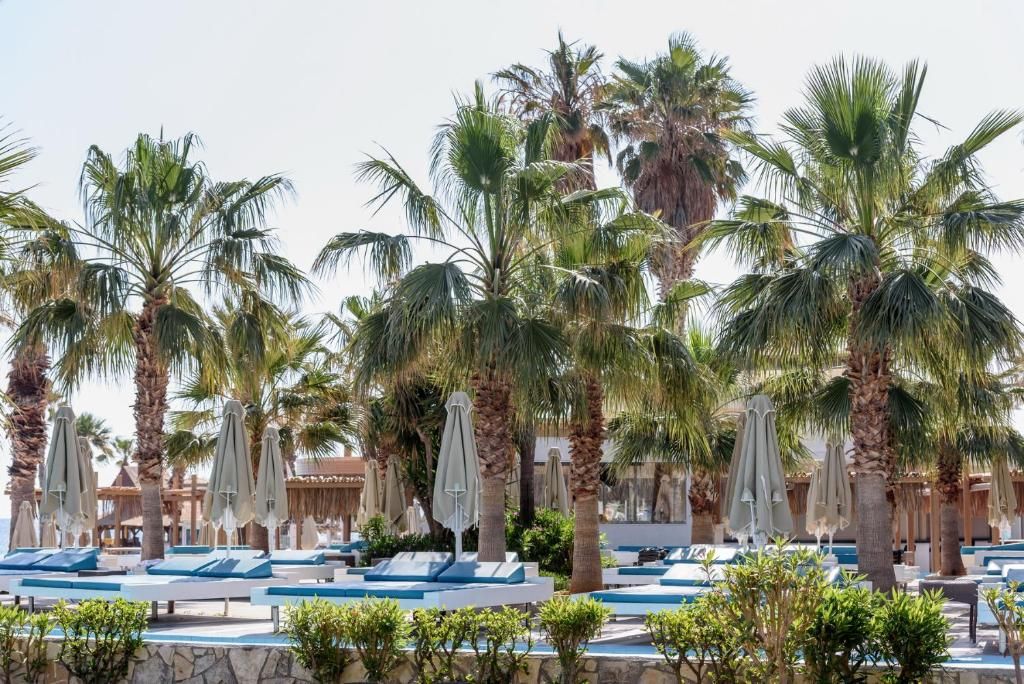 Star Beach Village фото 68