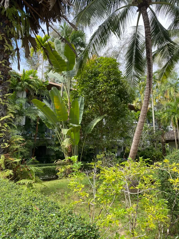 Nai Yang Beach Resort & Spa фото 56