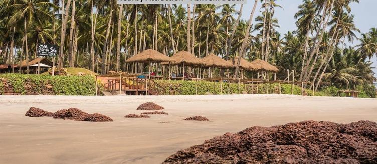 Фото отеля Oceans 7 Ashwem