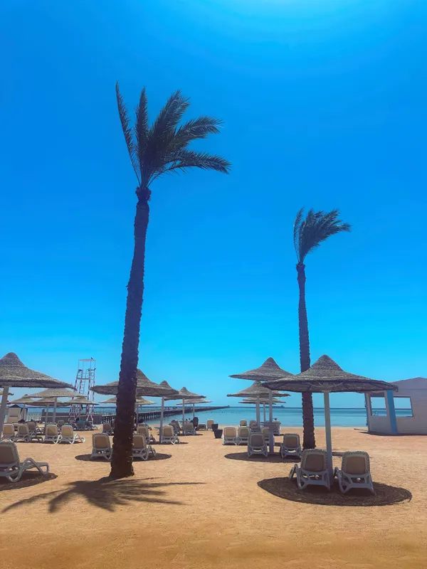 Edge Rotana Sea Beach фото 66