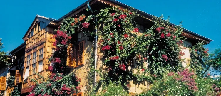 Фото отеля Begonville Pansiyon