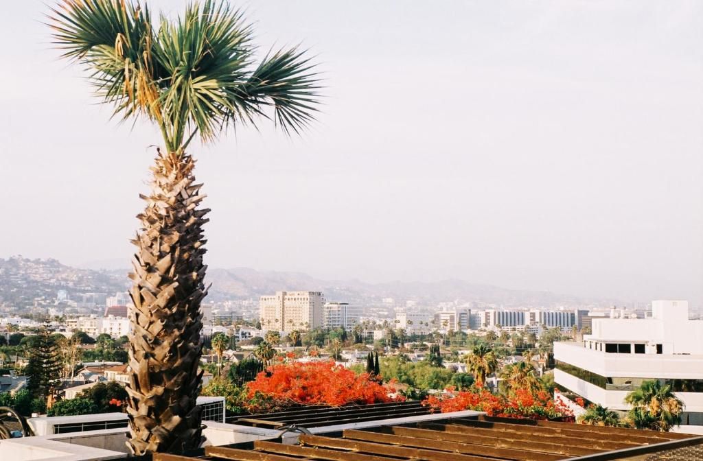 SIXTY Beverly Hills фото 10