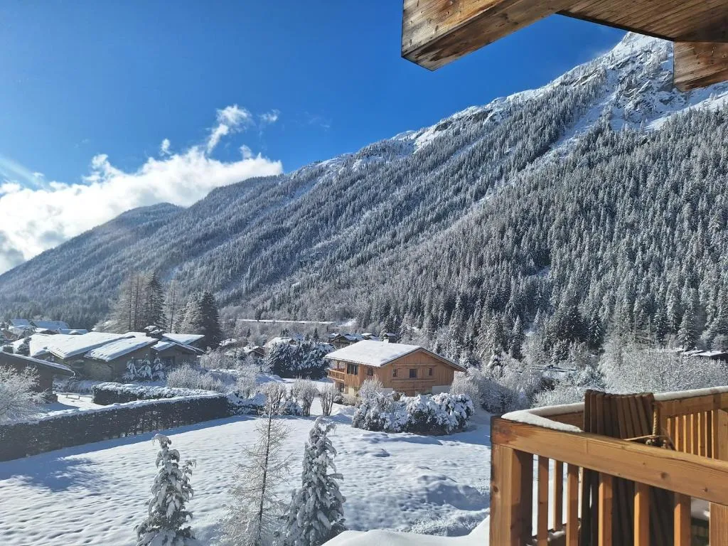 Hotel Les Grands Montets фото 3