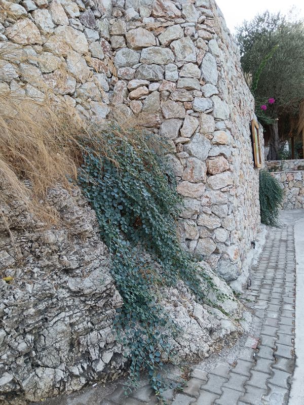 Ozcan Beach Hotel фото 57