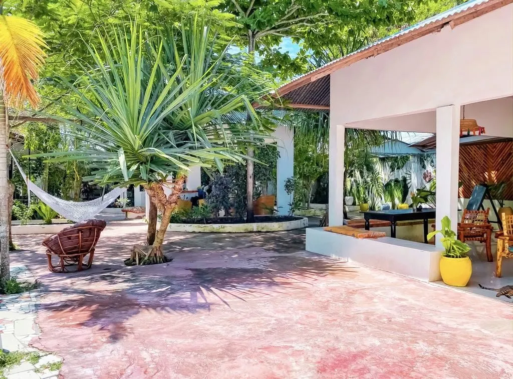 Guest House «Papaya Guest House Nungwi» фото 11