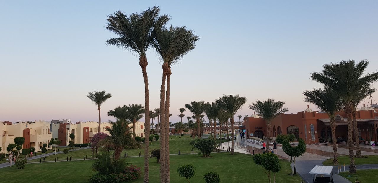 Sunrise Royal Makadi Resort фото 102