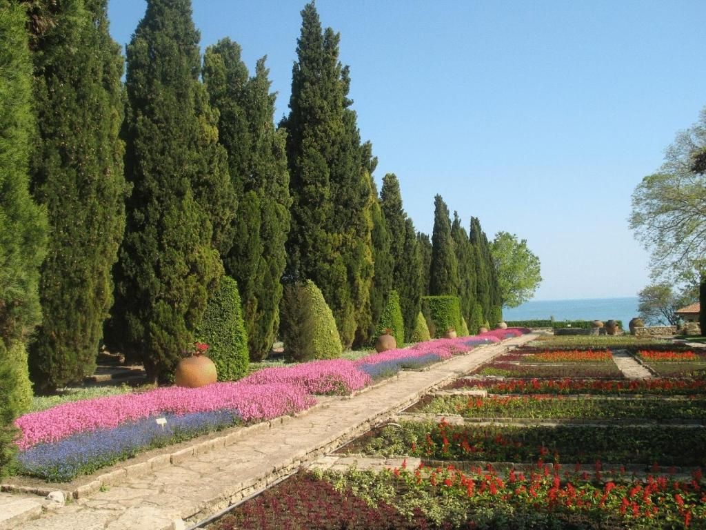 Lotos фото 26
