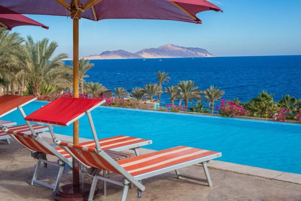 Grand Rotana Resort & Spa фото 39