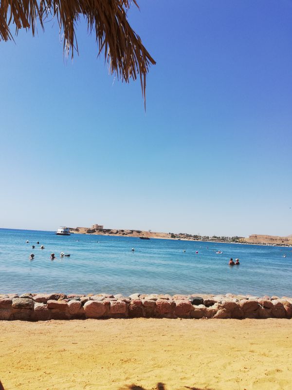 Seti Sharm Palm Beach Resort фото 73