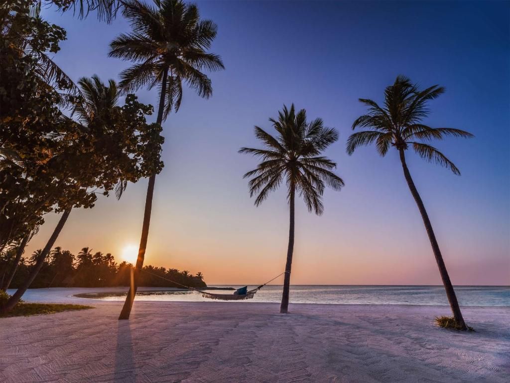 One & Only Reethi Rah фото 135