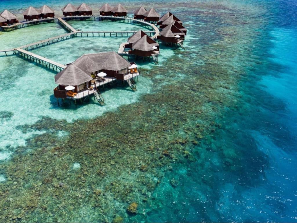 V Villas Maldives at Mirihi фото 1