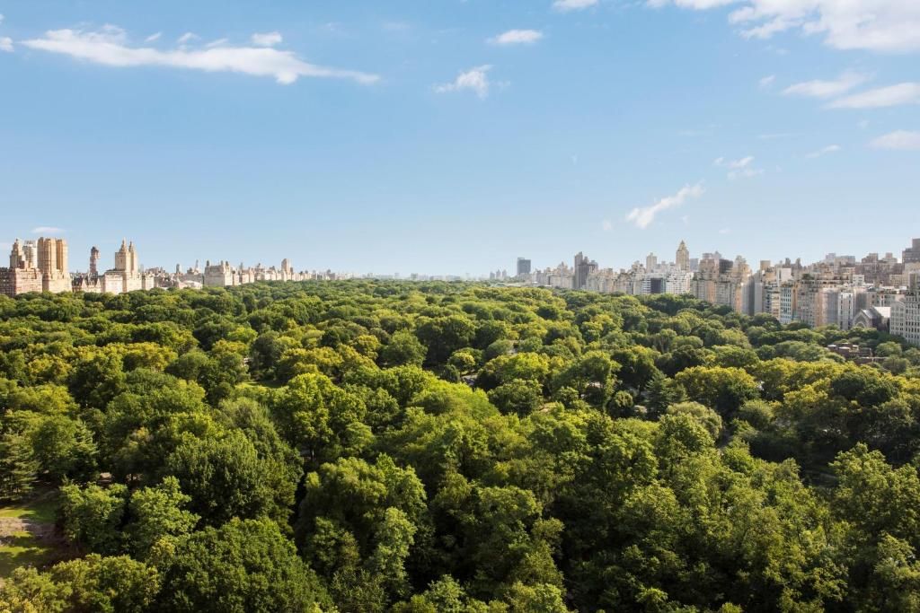 The Ritz-Carlton New York, Central Park фото 24