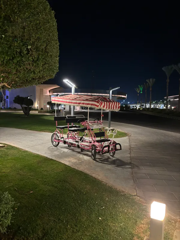 Pickalbatros Luxury Suites фото 91