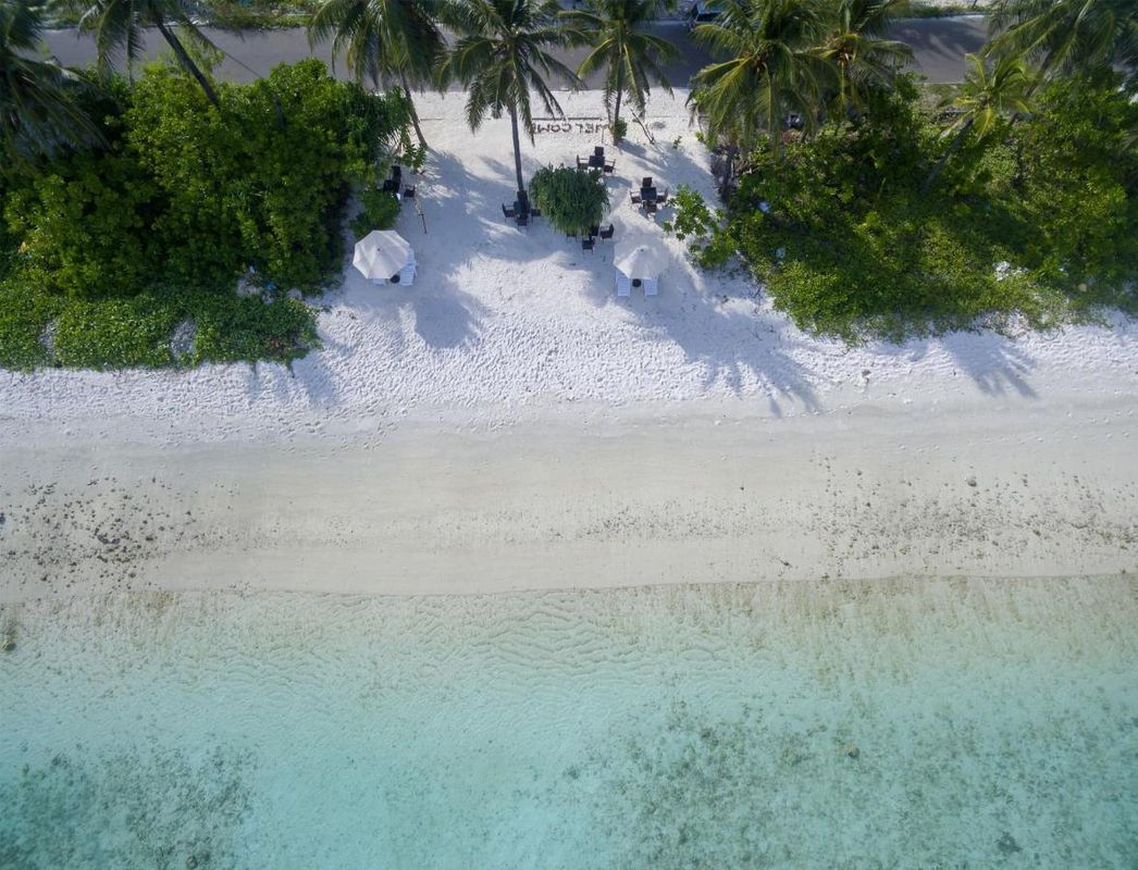 Guest House «The White Harp Beach Guest House» фото 9