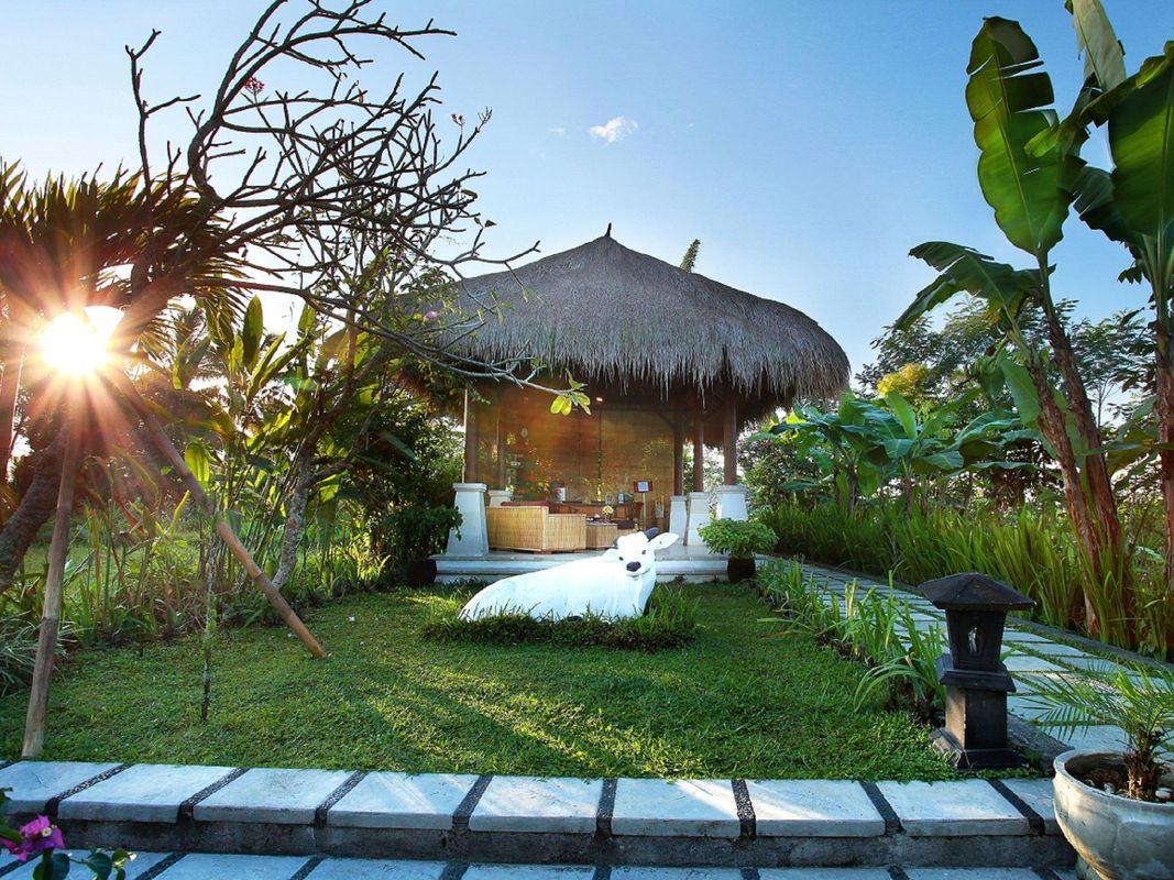 Nandini Bali Jungle & Spa фото 22