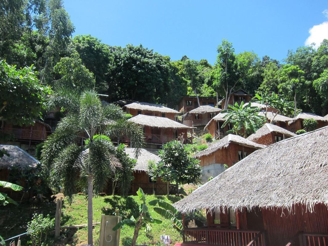 Bamboo Mountain View фото 35