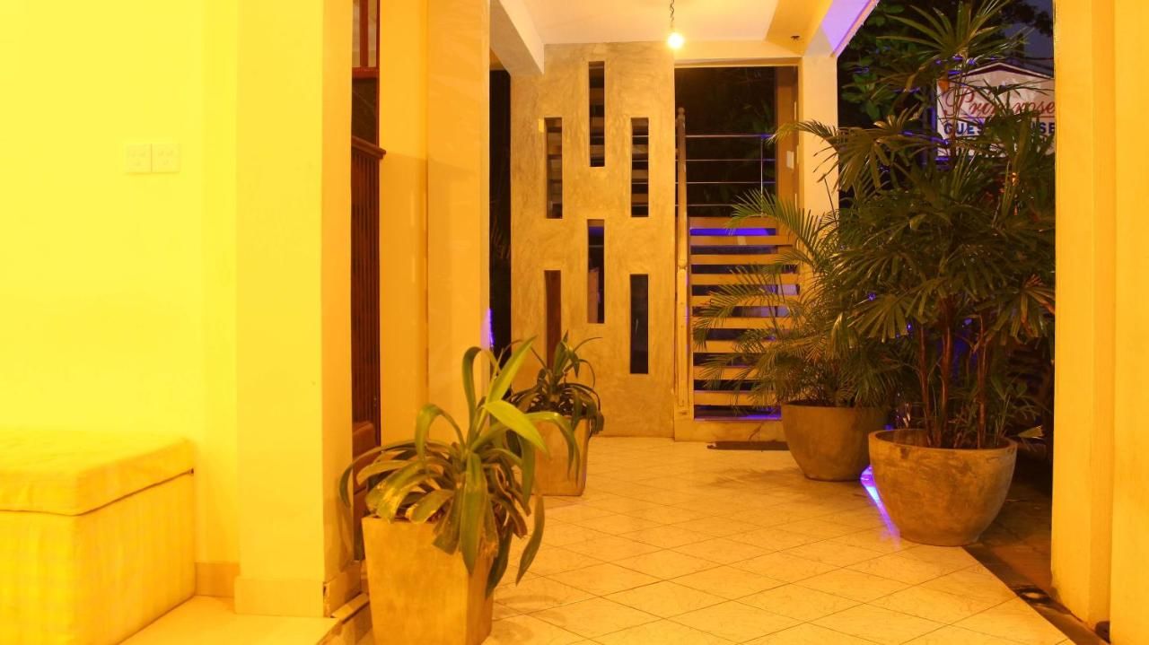 Guest House «Primrose Guest House» фото 8