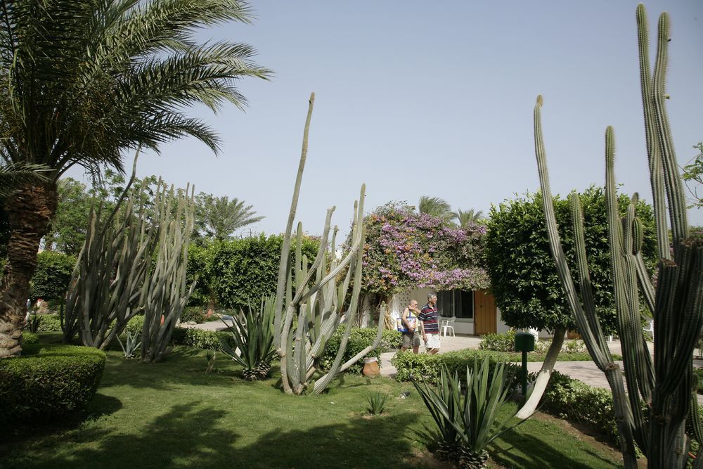 Shams Safaga Resort фото 70