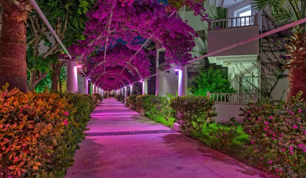 Bendis Beach Hotel фото 6